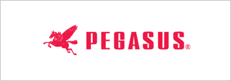 A red logo of pegasus is shown.